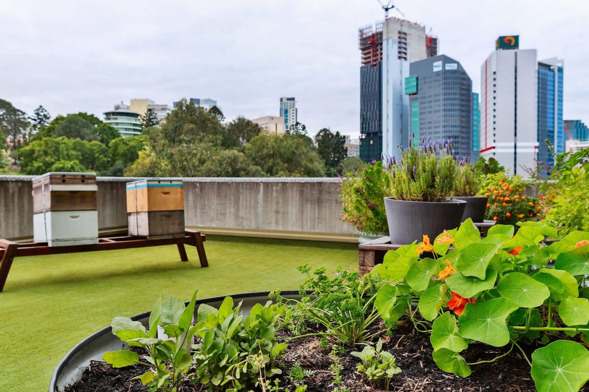 Hotel Jen Brisbane Bagian luar foto